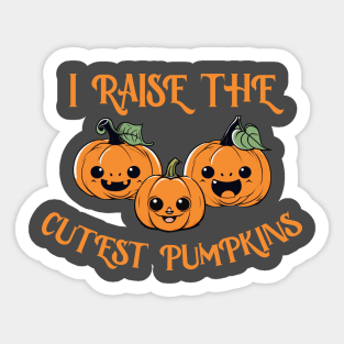 I raise the cutest little pumpkins Sticker